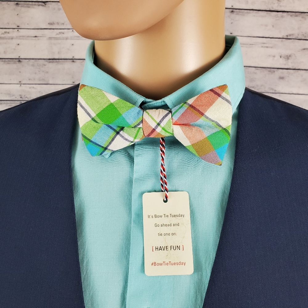 Bow Tie Tuesday Cream Pink Blue Green Pastel Tie